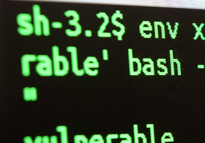 bash